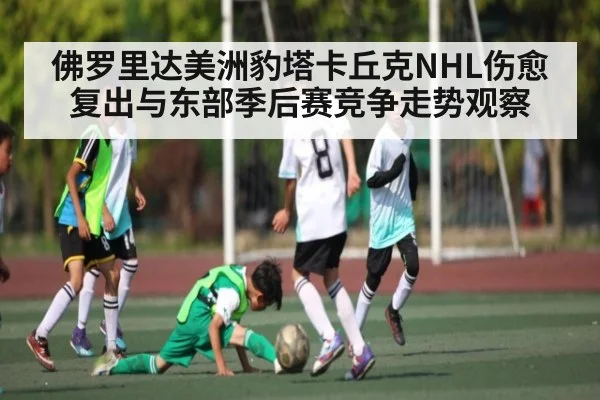 佛罗里达美洲豹塔卡丘克NHL伤愈复出与东部季后赛竞争走势观察
