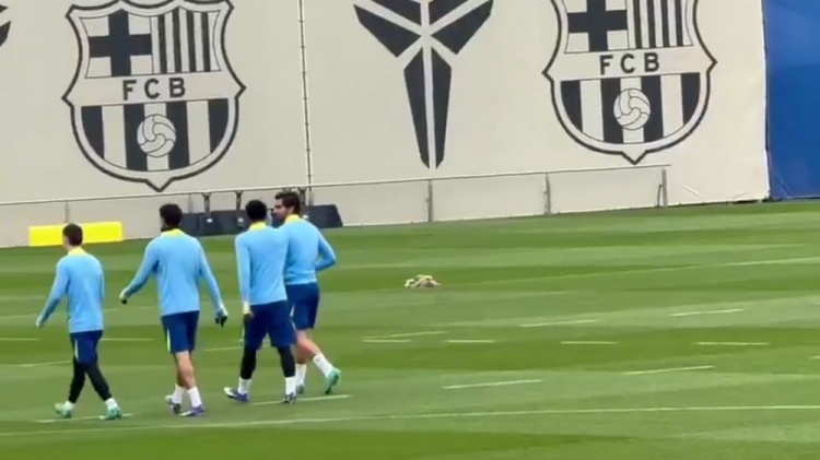 开云-记者:费兰·托雷斯恢复训练,佩德里、克里斯滕森和加维缺席